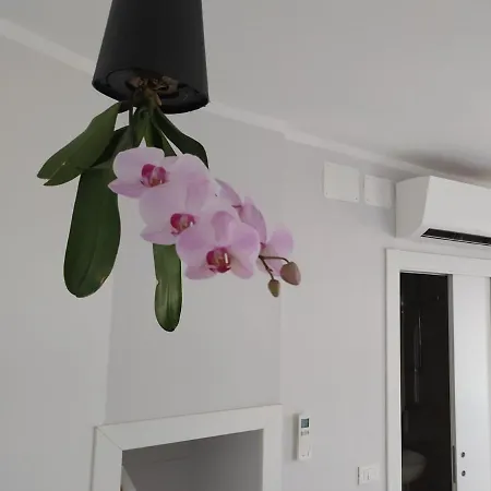 Guest house Aquarium 2*
