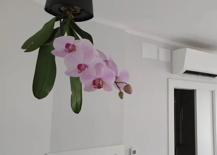 Gæstehus Aquarium 3*